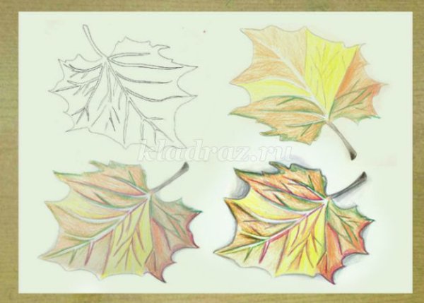 Рисование осенних листьев карандашами 2 класс