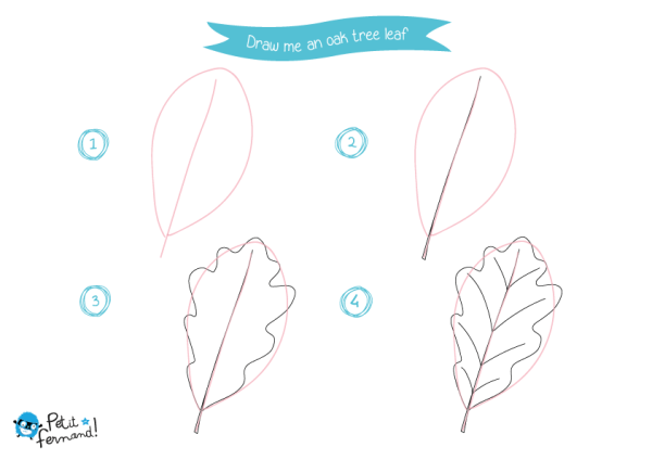 Поэтапное рисование листьев карандашом