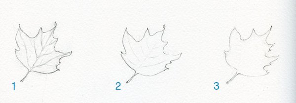 Нарисовать кленовый лист пошагово