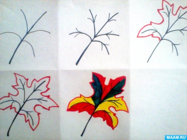 Рисование лист клена в старшей группе