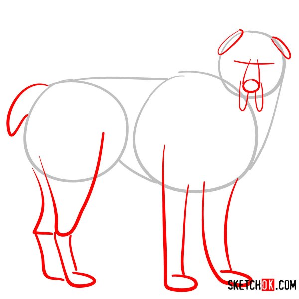 Туториал алабая