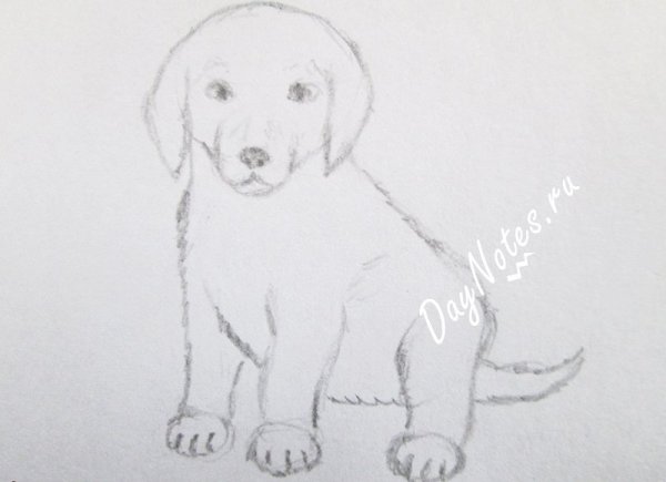 Алабай живопись художник