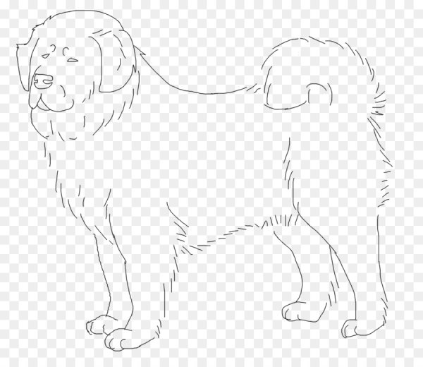 Среднеазиатская овчарка стандарт породы