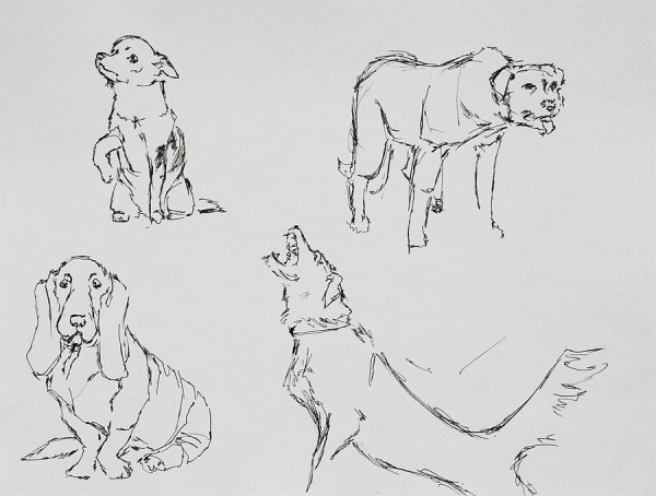 Среднеазиатская овчарка алабай рисунки