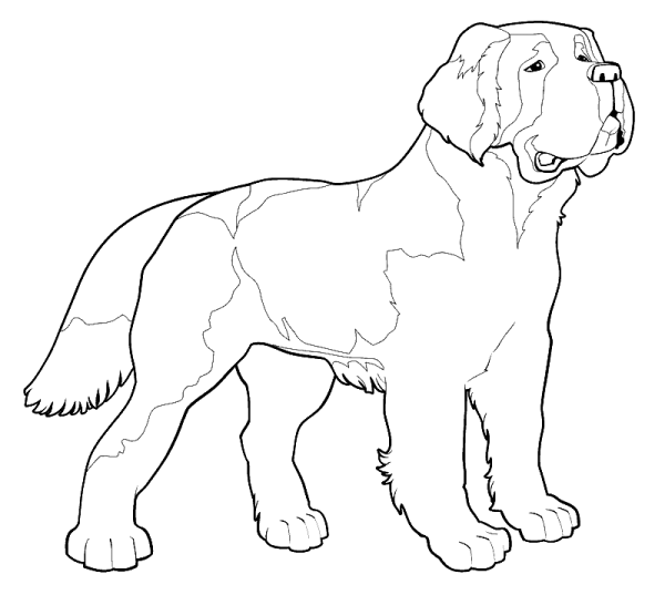 Ротвейлер рисунок карандашом