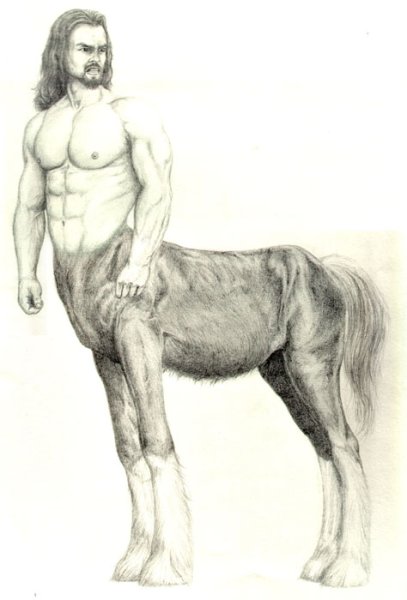 Кентавр пропорции