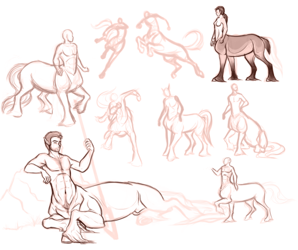 Анатомия кентавров референс