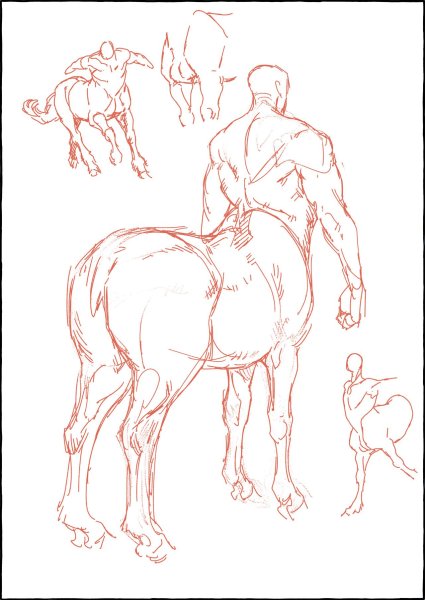 Анатомия кентавров референс