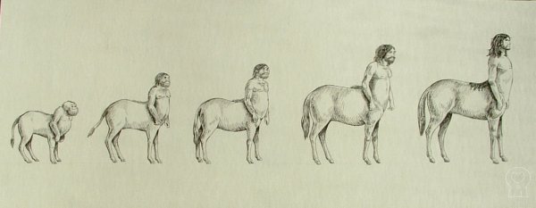 Кентавр младенец