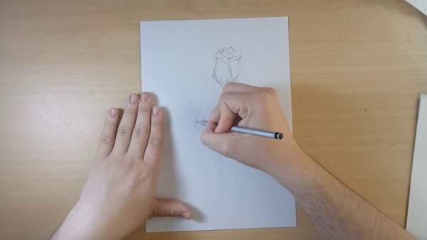 Нарисовать дулю карандашом поэтапно