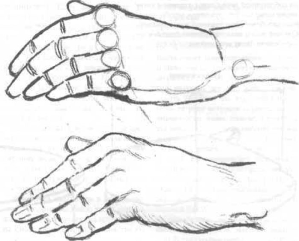 Руки рисунок карандашом поэтапно