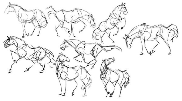 Лошадь референс пропорции