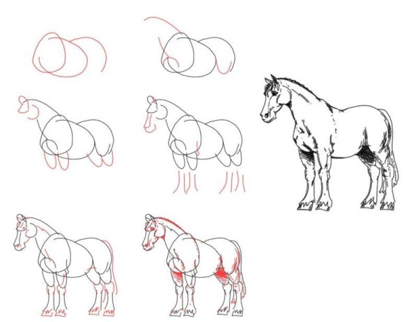 Схема рисования лошади