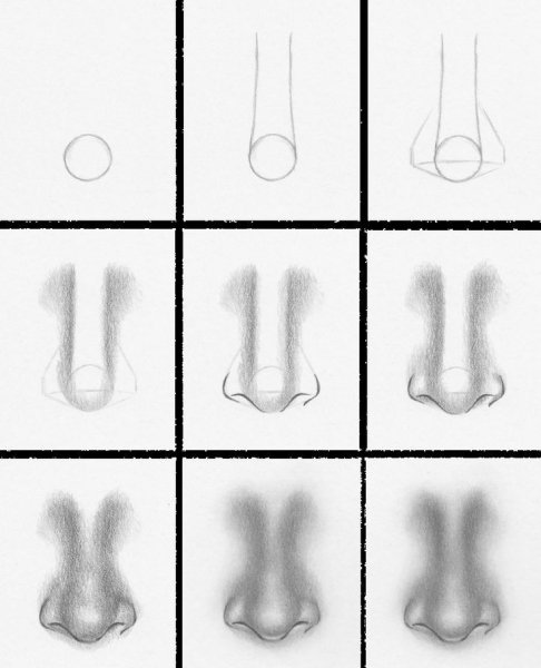 Правильное рисование носа