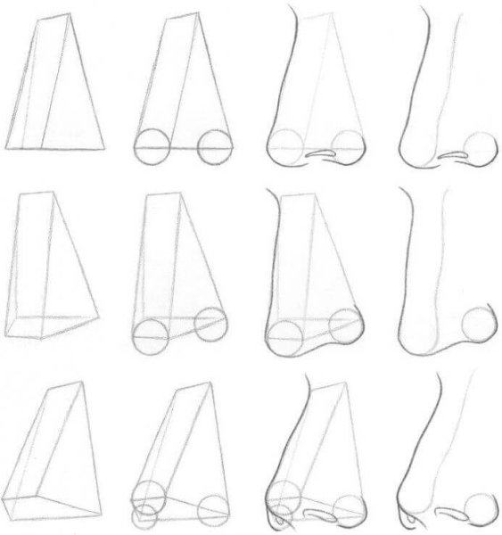 Поэтапность рисования носа