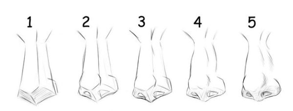 Поэтапный рисунок носа