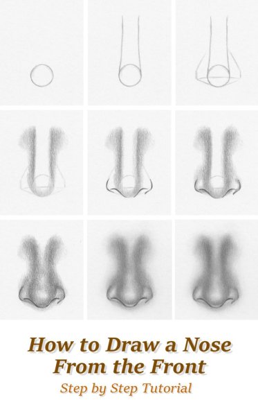 Учимся рисовать нос