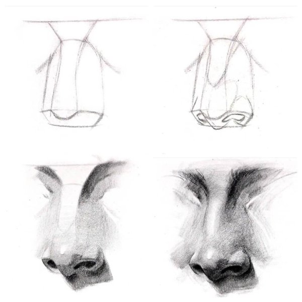 Построение носа