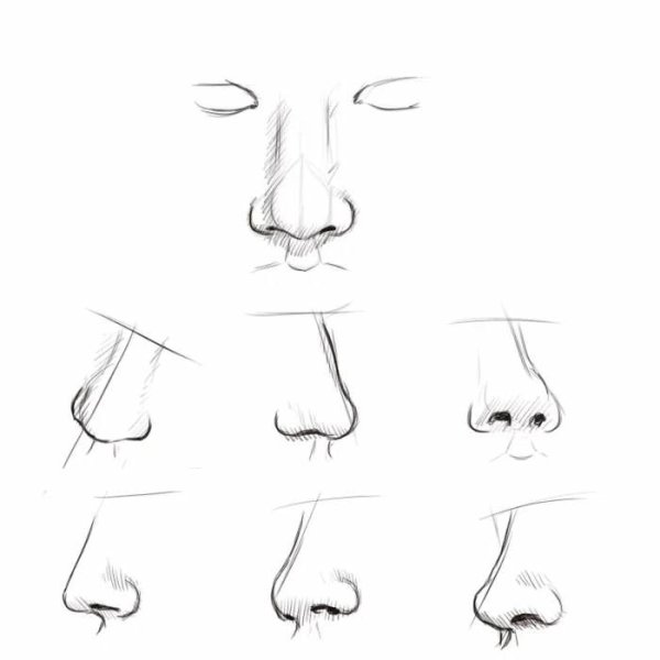 Поэтапное рисование носа