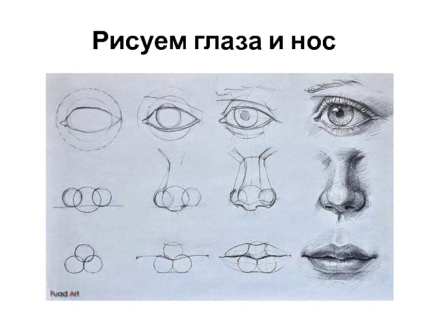 Рисование частей лица