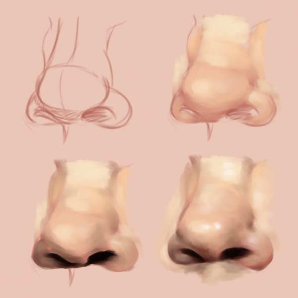 Нос спереди референс