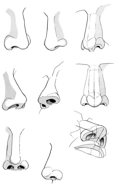 Нос сбоку референс