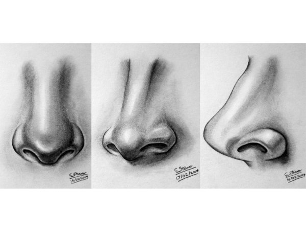 Рисование носа в разных ракурсах