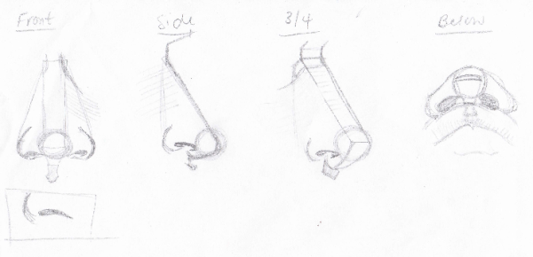 Как нарисовать нос ракурс снизу