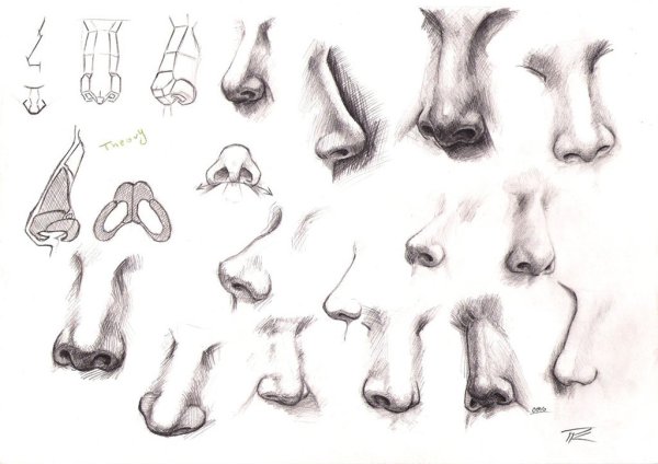 Рисование носа