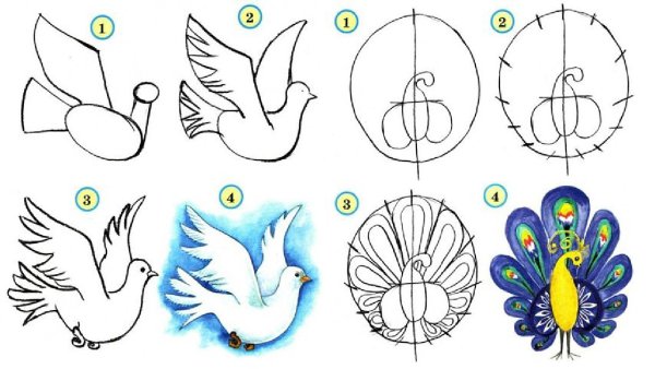 Уроки рисования птиц