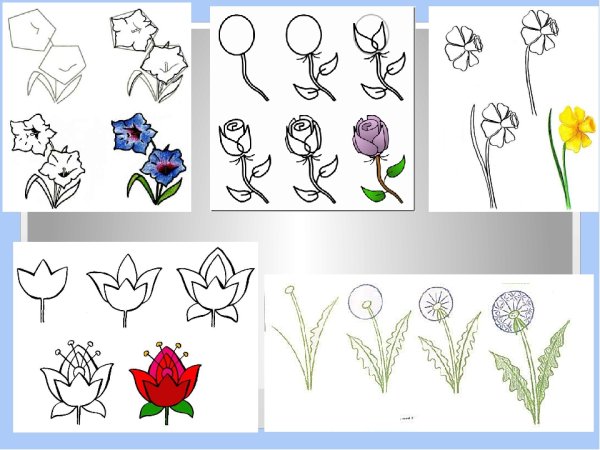 Изо 1 класс рисование