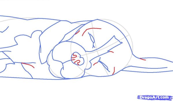 Рисунок спящей собаки карандашом