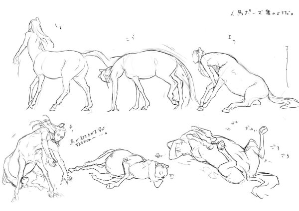 Анатомия кентавров референс