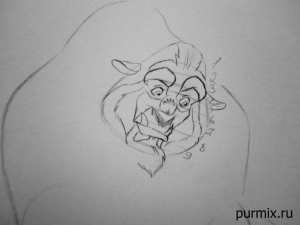 Срисовывать и легко красавица и чудовище