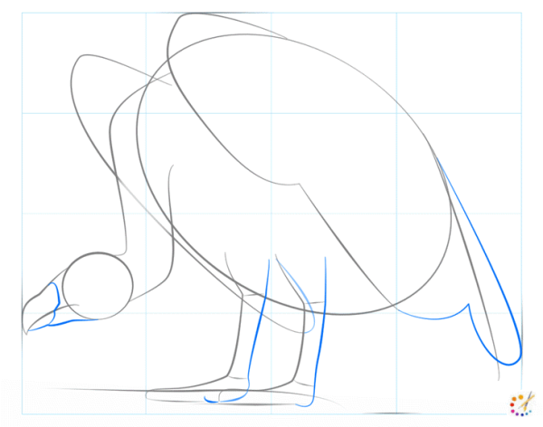Гриф поэтапное рисование карандашом