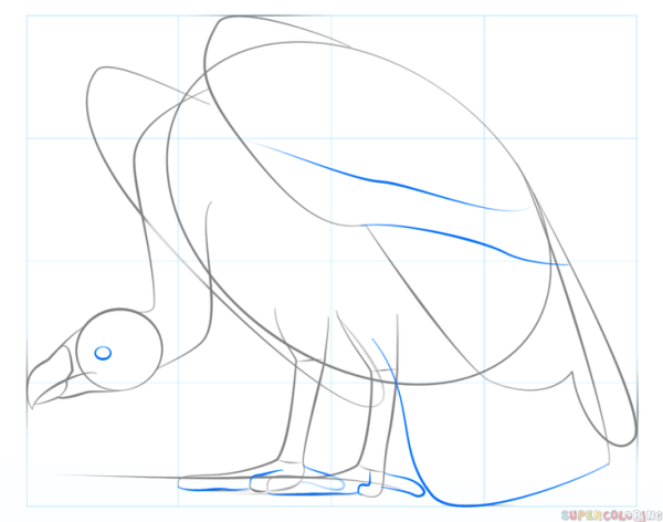 Стервятник рисунок пошагово