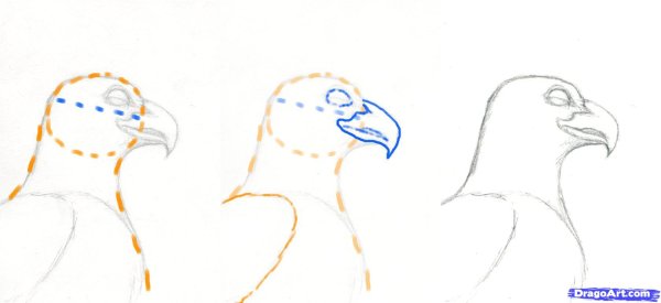 Гриф пошагово рисунок