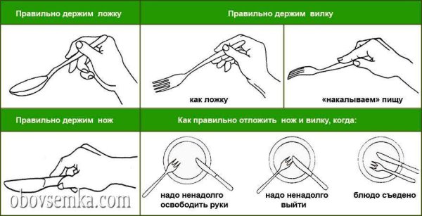 Как правильно держать вилку в правой руке по этикету