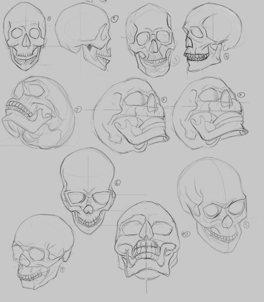 Череп сбоку поэтапно анатомия