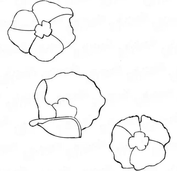 Нарисовать Мак поэтапно