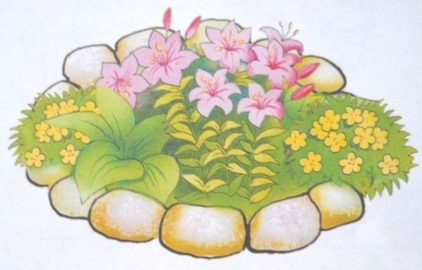 Клумба рисунок