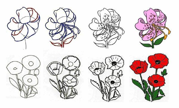 Уроки рисования цветы