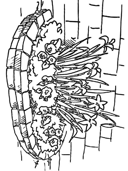 Клумба раскраска для детей