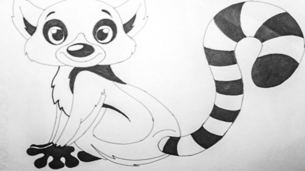 Лемур рисунок карандашом