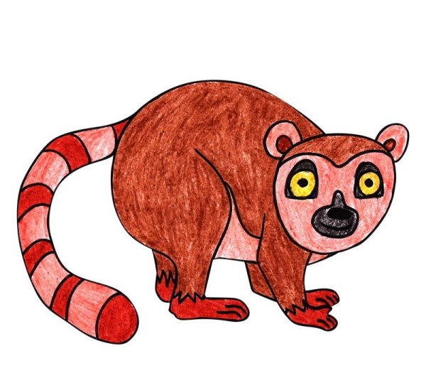 Лемур нарисовать поэтапно