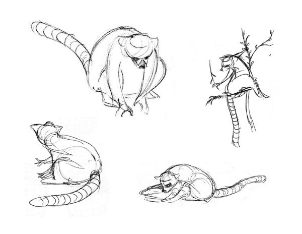 Анатомия лемура