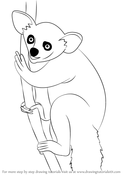 Лемуры рисунок легкий