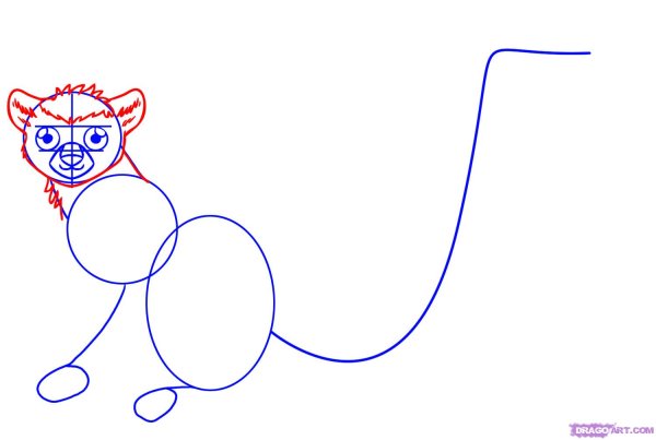 Лемур рисунок поэтапно