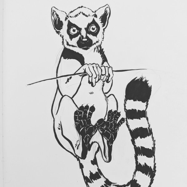 Лемур эскиз