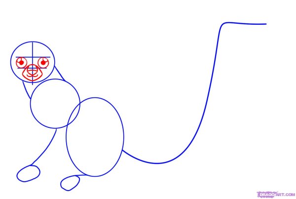 Лемур нарисовать поэтапно